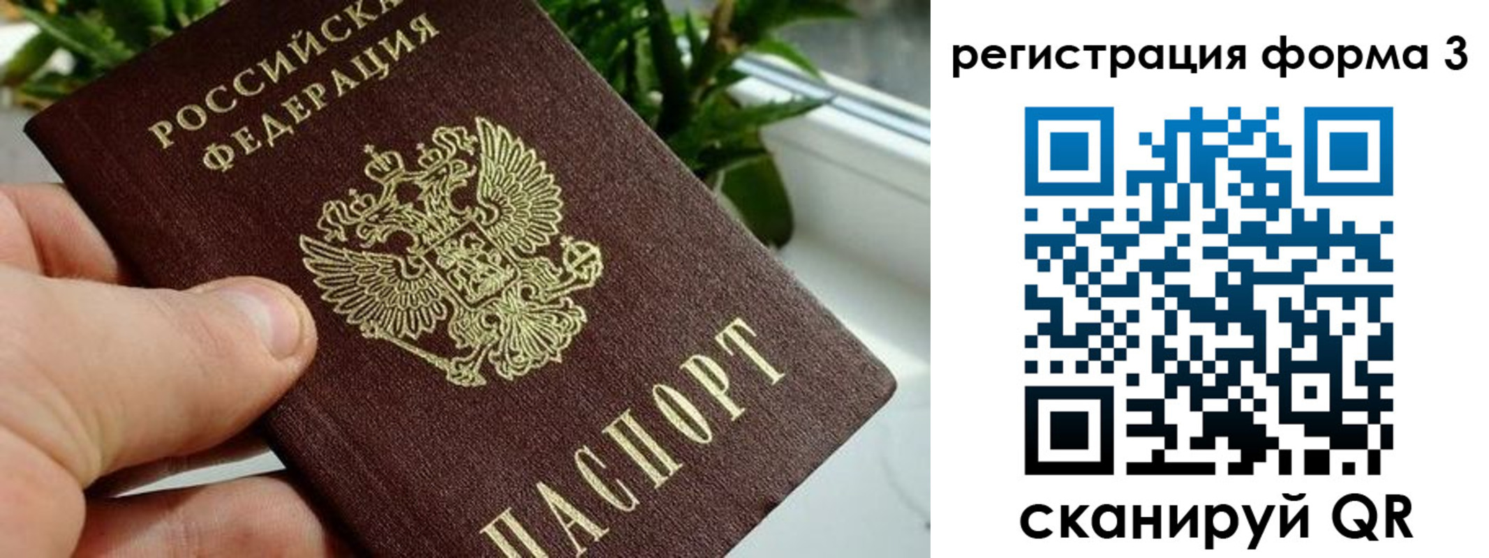 прописка штамп в Невеле
